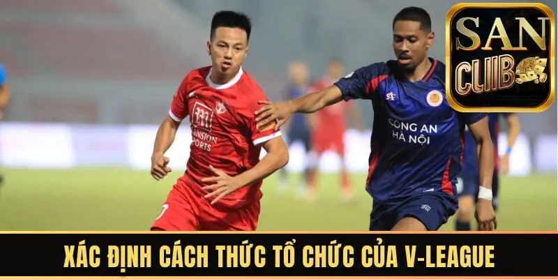 Xác định cách thức tổ chức của V-League