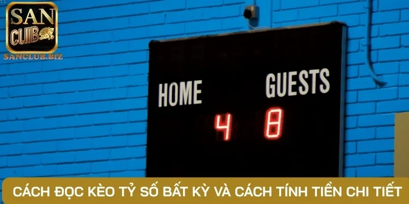 Cách đọc kèo tỷ số bất kỳ và cách tính tiền chi tiết