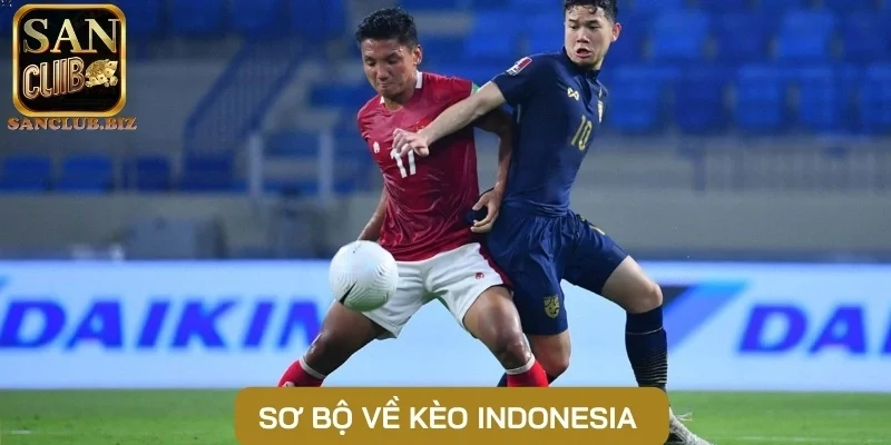 Sơ bộ về kèo Indonesia